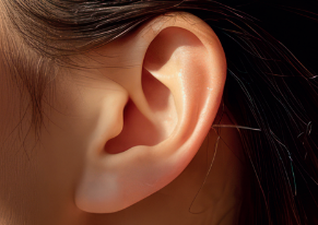Tinnitus/oorsuizen