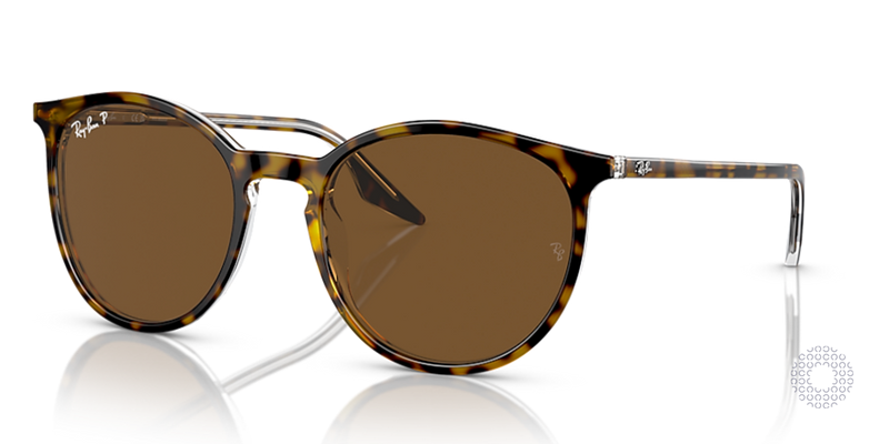 Ray-Ban RB2204