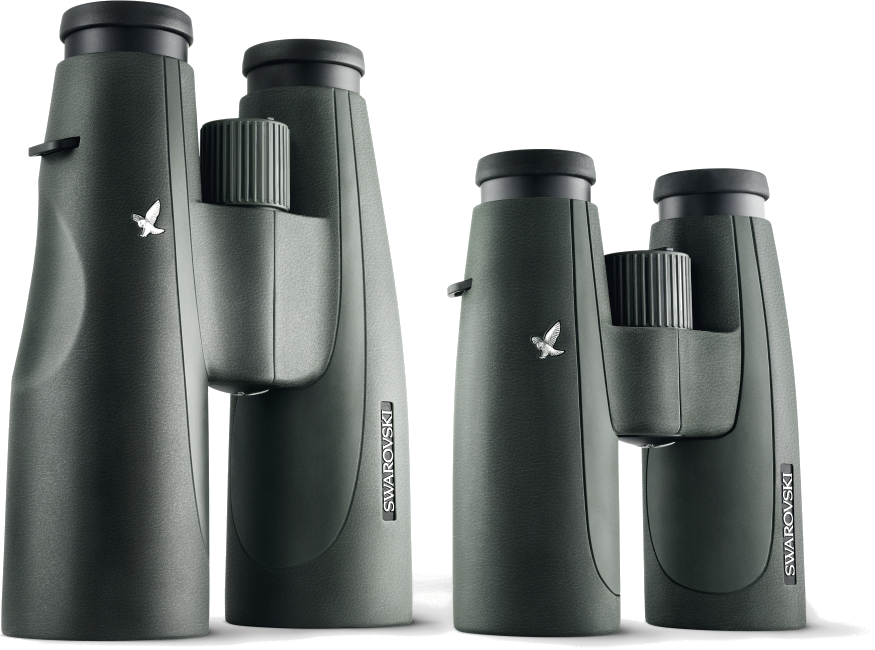SLC 8x56 W B