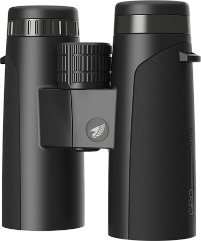 PASSION 10x42ED