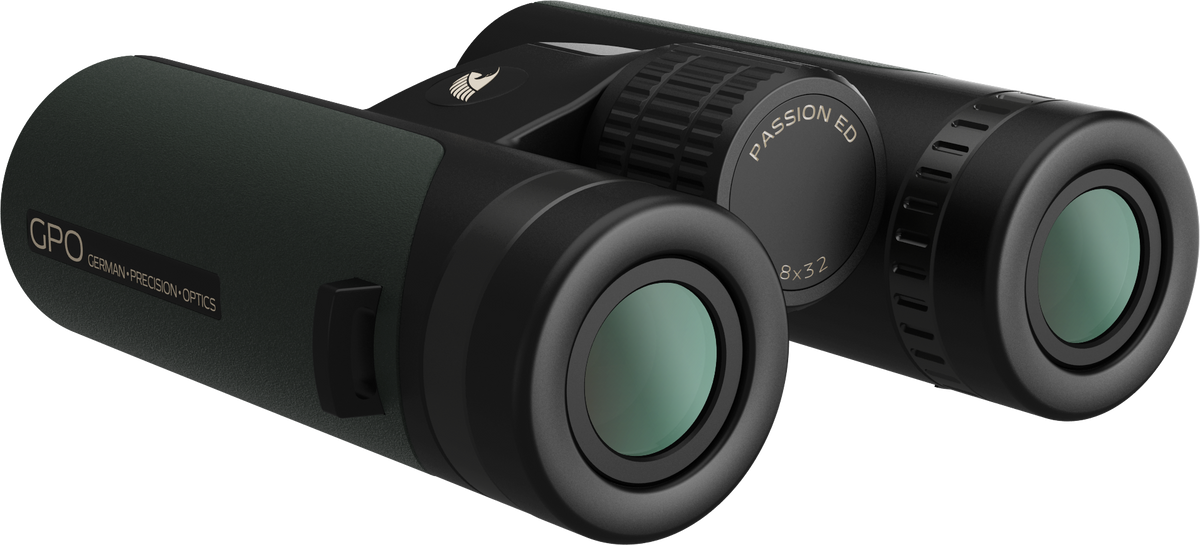 PASSION 8x32ED