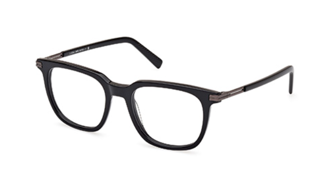 Ermenegildo Zegna EZ5273